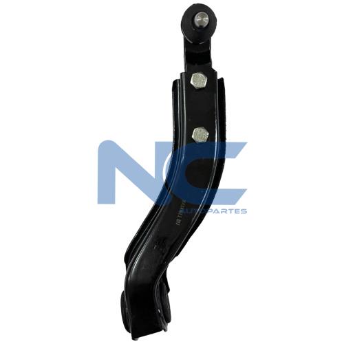 TRAPECIO DEL INF IZQ S/ROT